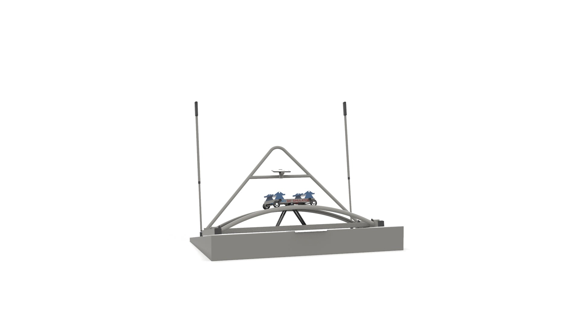 Professional Ski Simulator