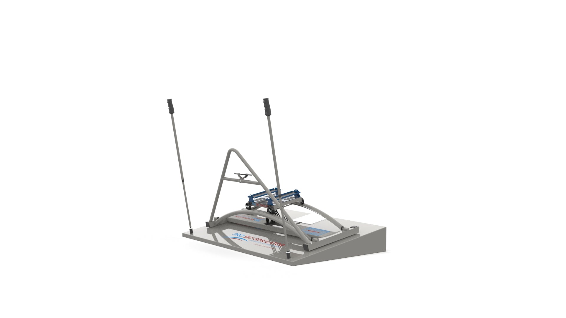 Professional Ski Simulator