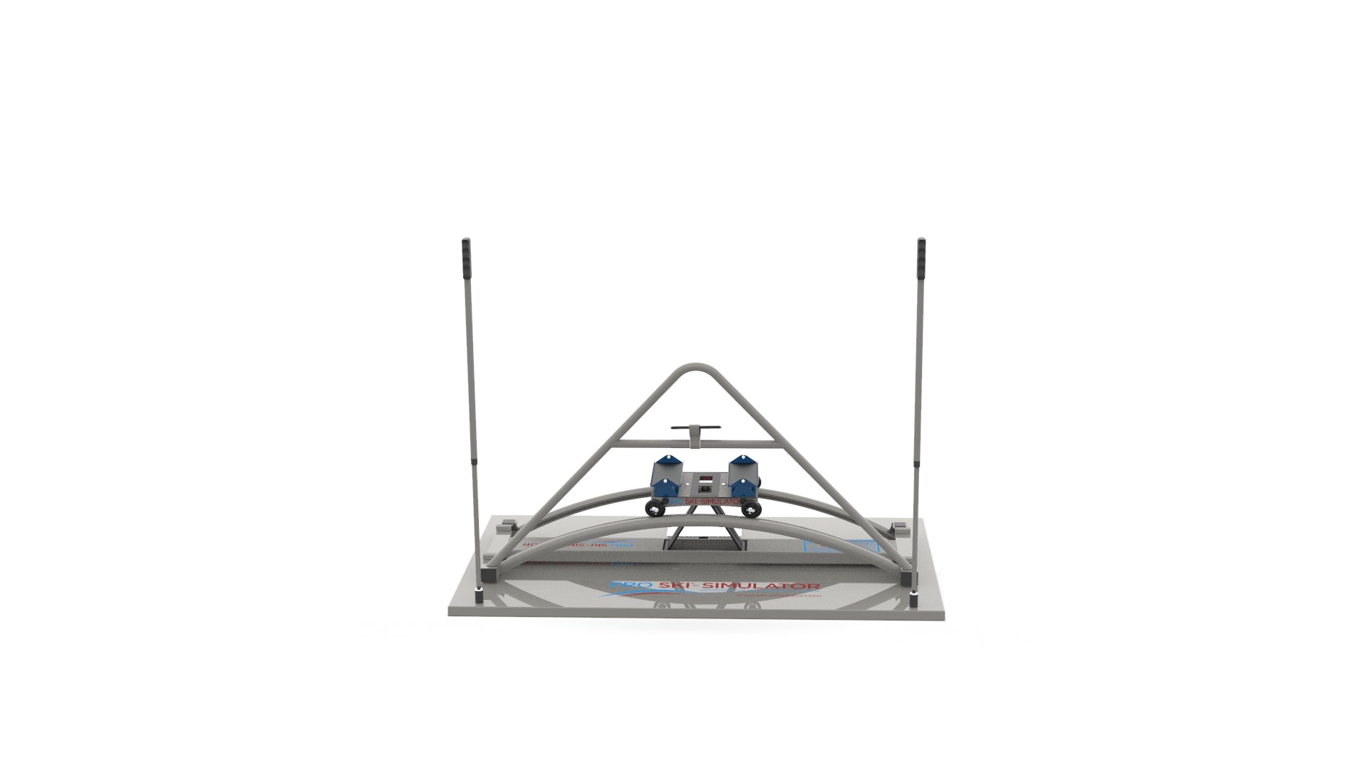 Professional Ski Simulator
