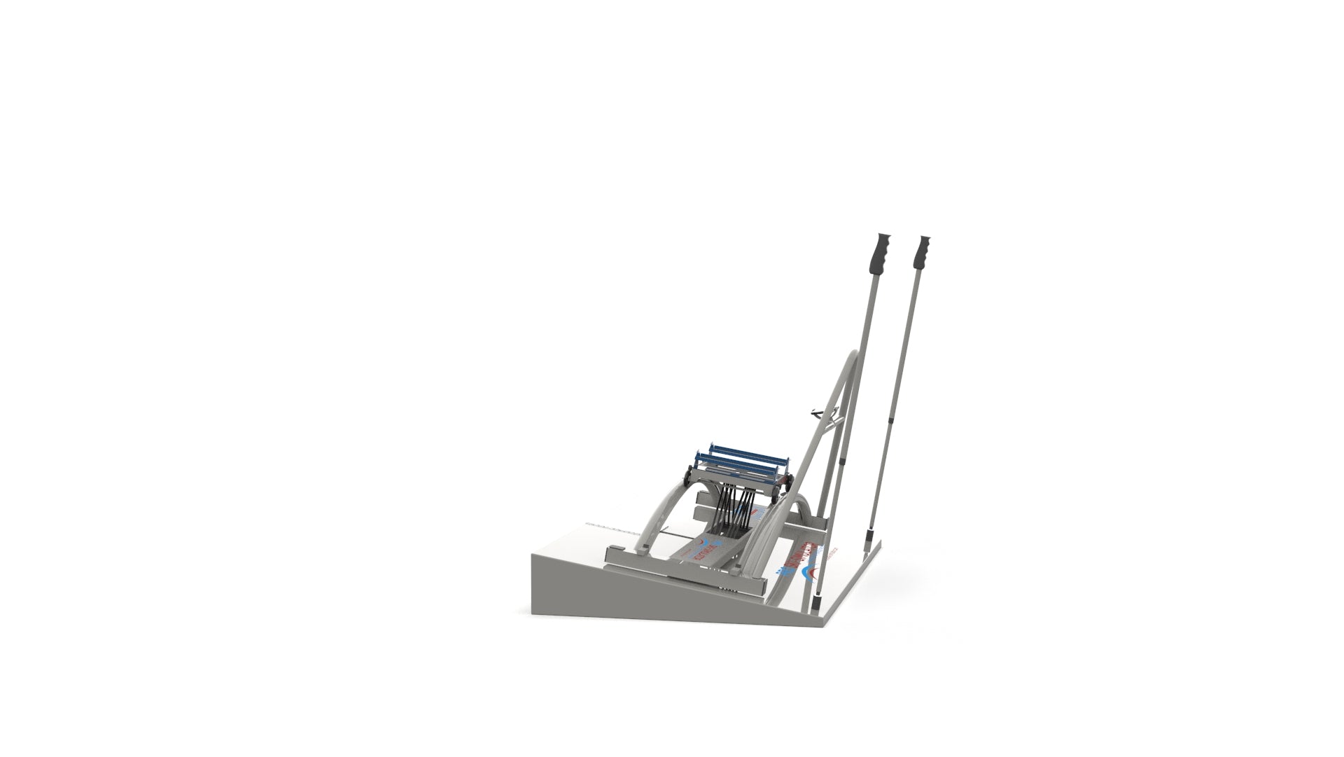 Professional Ski Simulator
